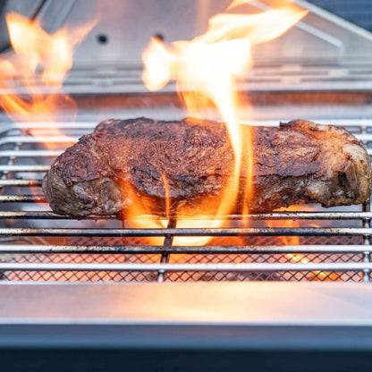 Monument Grills 24367 Stainless Infrared Propane Gas Grill