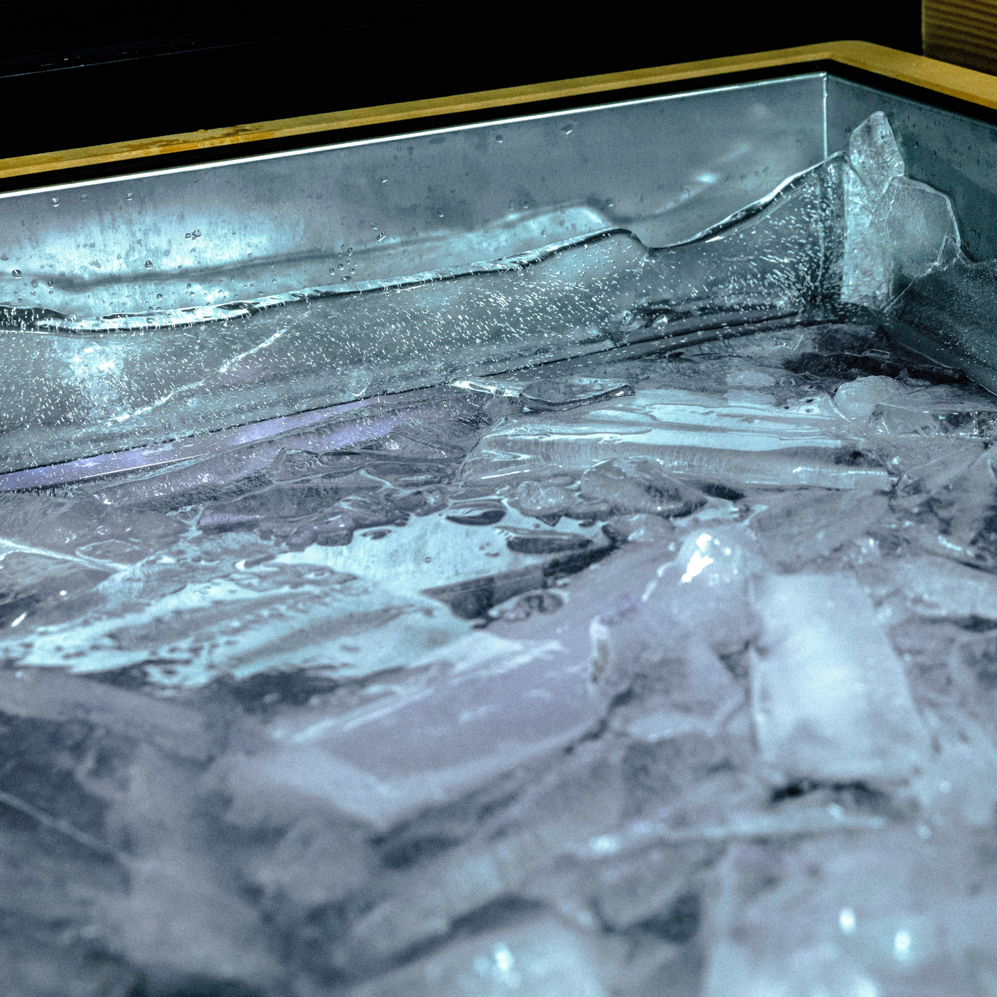 Revive Luxury Plunge