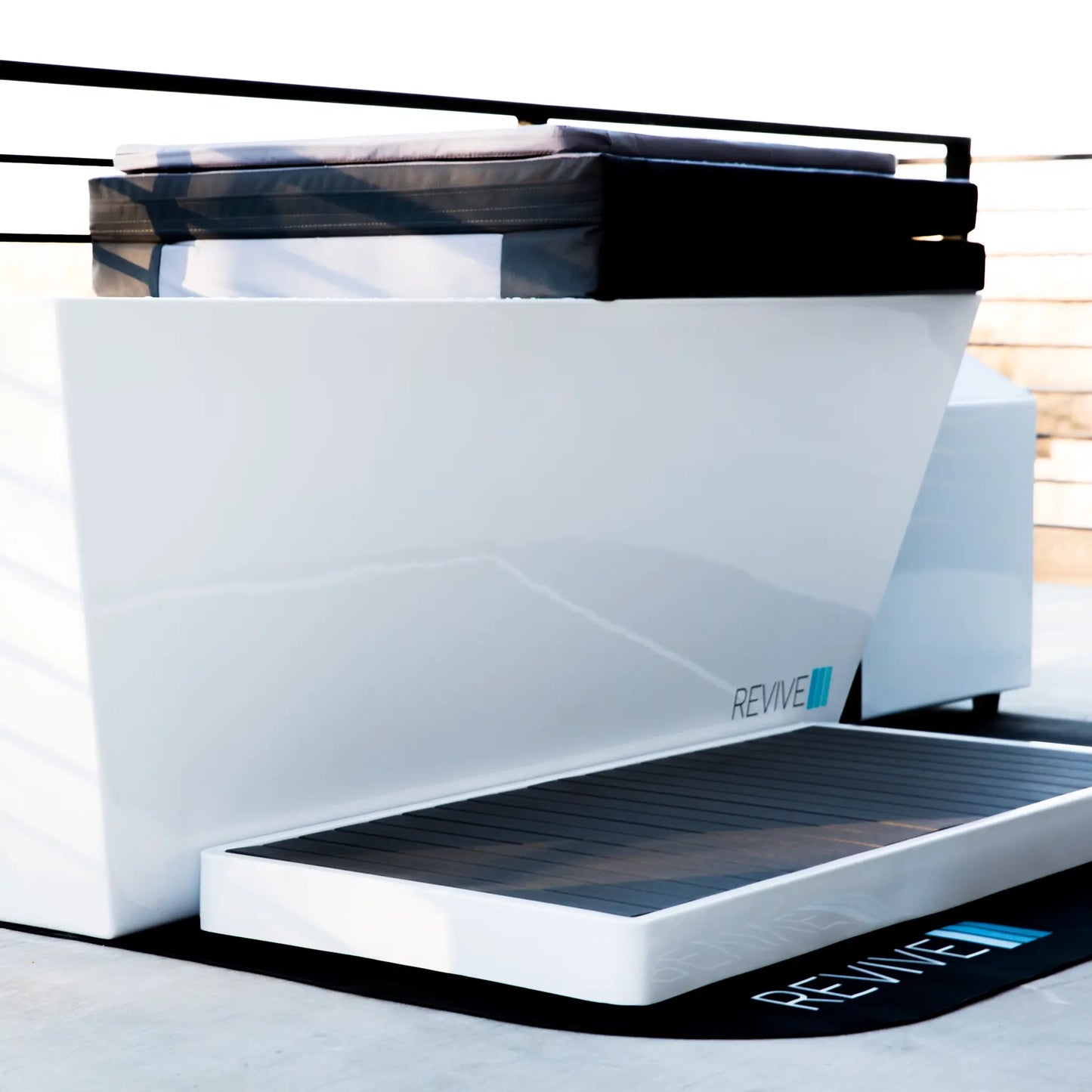 Revive Acrylic Plunge