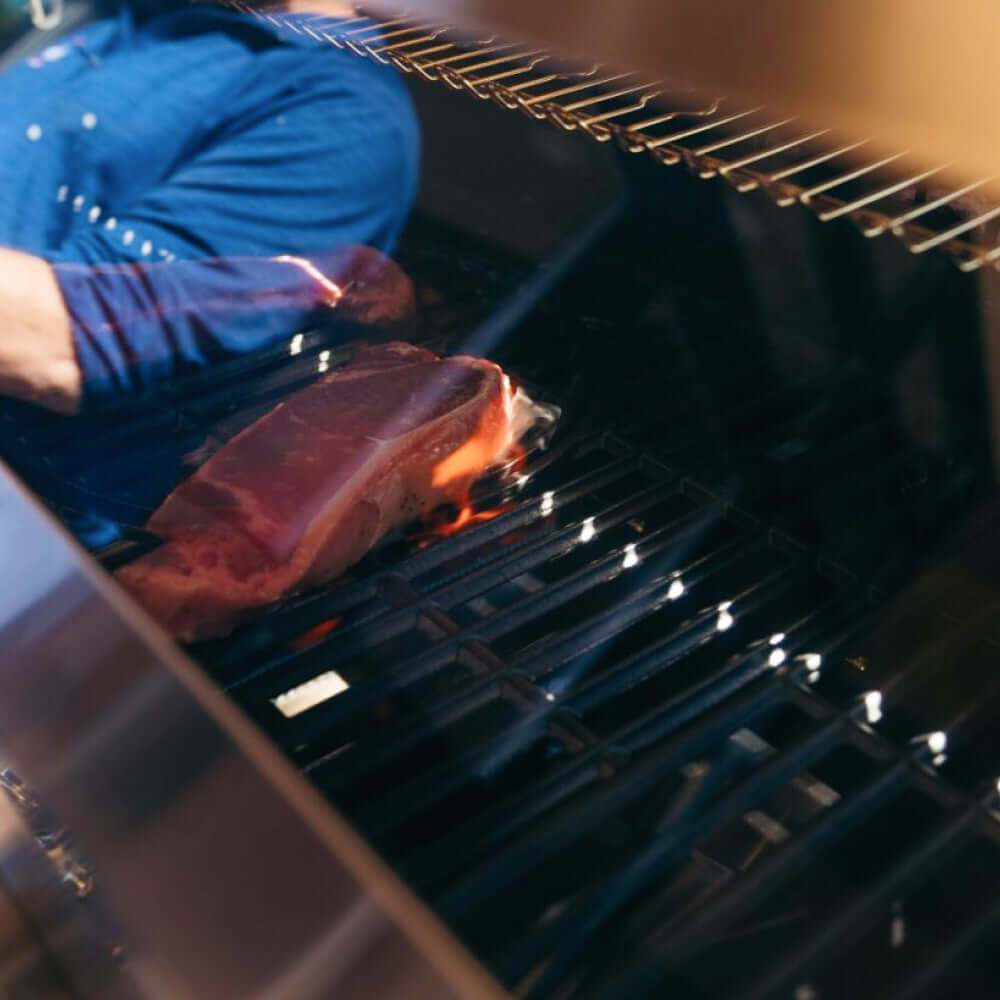 Monument Grills Denali 605 Stainless Smart Tech Natural/Propane Gas Grill