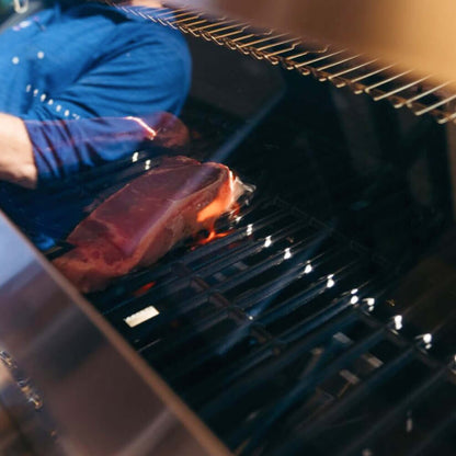 Monument Grills Denali 605 Stainless Smart Tech Natural/Propane Gas Grill