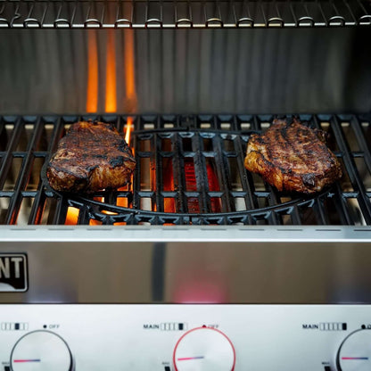 Monument Grills Denali 605Pro Stainless Smart Propane Gas Grill