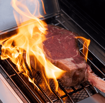 Monument Grills Eminence 405 Chic Clearview® Smart Stainless Gas Grill