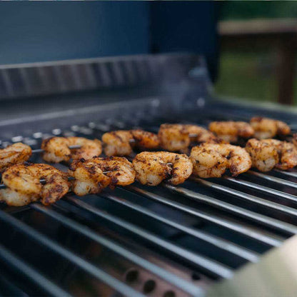 Monument Grills G22 Stainless Tabletop Propane Gas Grill