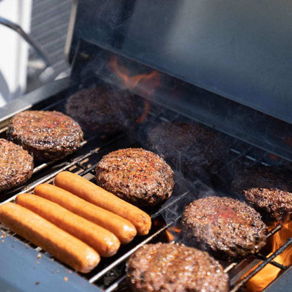 Monument Grills G22 Stainless Tabletop Propane Gas Grill