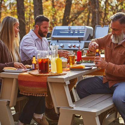 Monument Grills Mesa 415BZ Stainless Propane Gas Grill